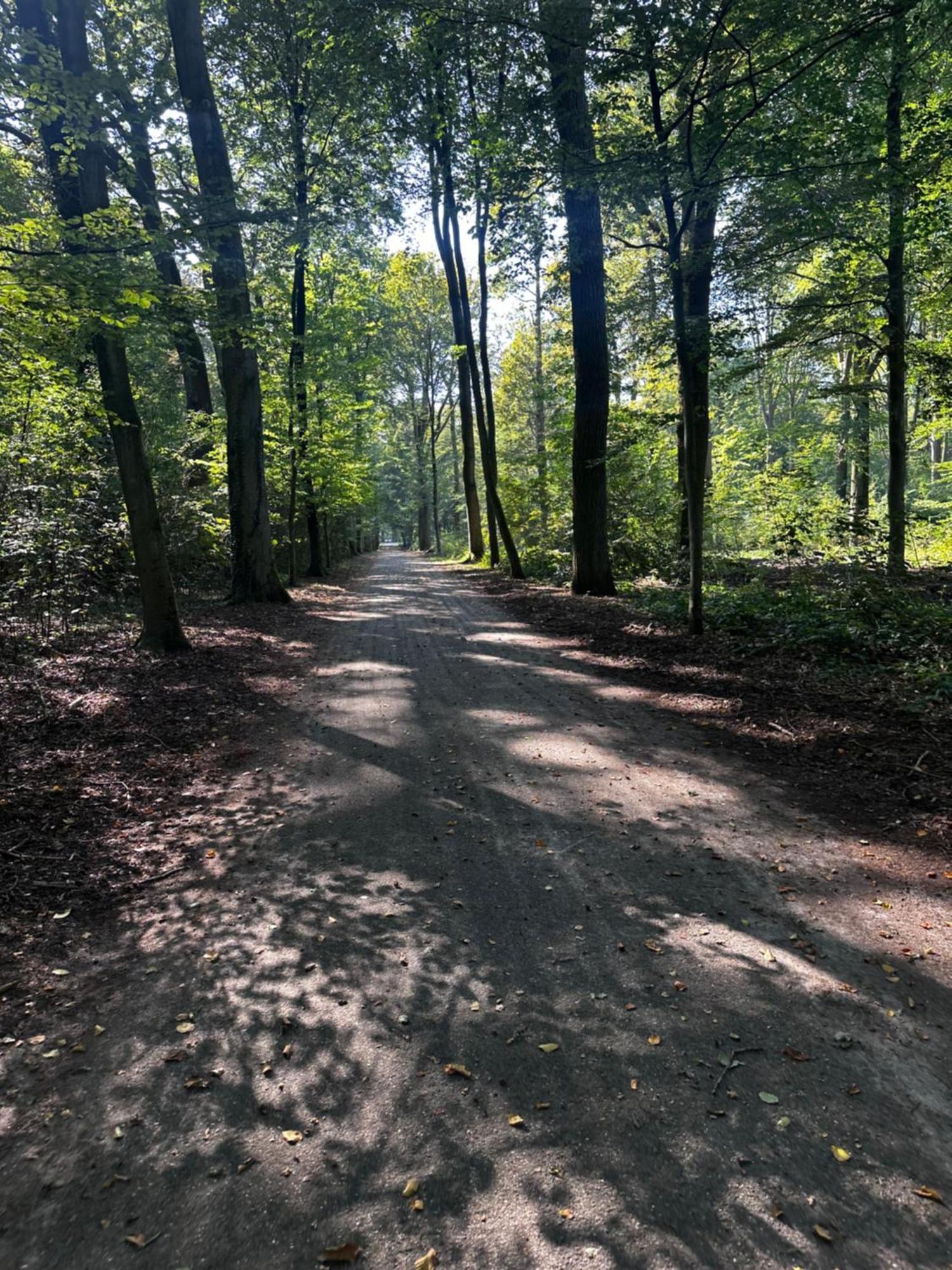 Chalet In Het Bos - Gezin - Wandelaars - Digital Nomads - Hs Wifi - Fijnspar 108 Aan de Wolfsberg Exterior foto